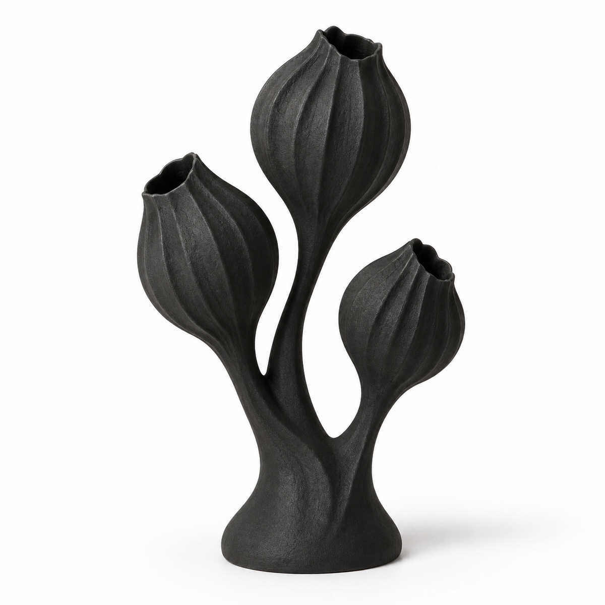 Midnight Seedpod